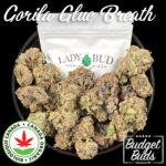 Gorilla Glue Breath | Hybrid | 100% Organic | 7grams