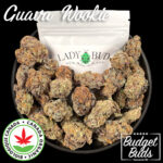Guava Wookie | Indica | 100% Organic | 7grams