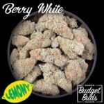 Berry White | Indica | Premium Oz!