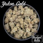 Yukon Gold | Hybrid | Greenhouse | 1oz