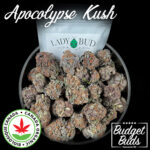 Apocalypse Kush | Indica | 100% Organic | 1oz