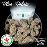 Blue Dolato | Hybrid | 100% Organic | 1oz