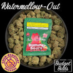 Watermellow-out Dummy Bears  | 1200mg THC