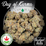 Day of Karma | Sativa | 100% Organic | 1oz