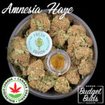 Amnesia Haze | Sativa | Organic Rosin | 1g | Fresh Squish