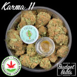 Karma 11 | Sativa | Organic Rosin | 1g | Fresh Squish