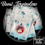 Boost Terpene Essentials Terpinolene - 4g 62%