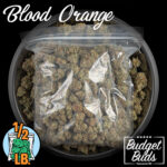 Blood Orange | Sativa | Half Pound