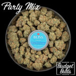 Fruit Cubes | Party Mix  | Bliss Edibles | 250mg THC