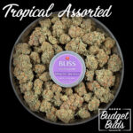 Fruit Cubes | Tropical Assorted  | Bliss Edibles | 250mg THC