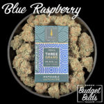 Blue Raspberry | Trees Disposable Vape | 3g THC Distillate