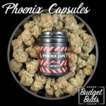 Phoenix Tear Capsules | 100mg THC | DP