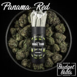 Panama Red | Sativa | Cones by DP