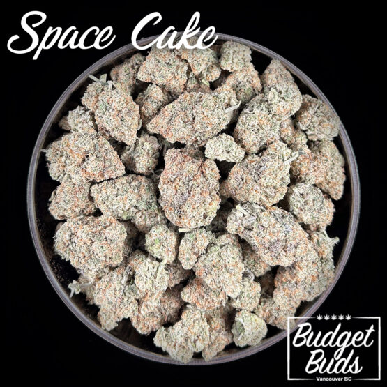 Space Cake | Hybrid | Premium Oz!