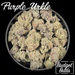 Purple Urkle | Indica | 1oz