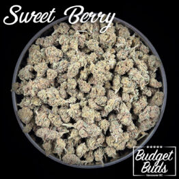 Sweet Berry Smalls | Hybrid | 1oz